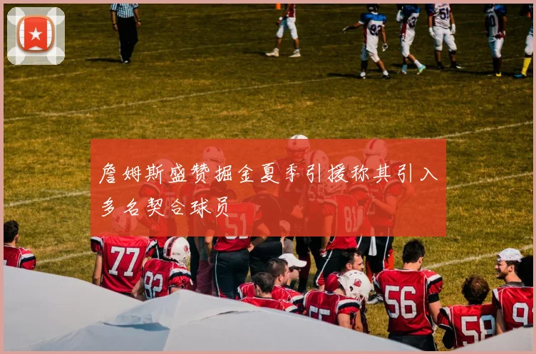 詹姆斯盛赞掘金夏季引援称其引入多名契合球员