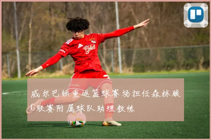 威尔巴顿重返篮球赛场担任森林狼G联赛附属球队助理教练